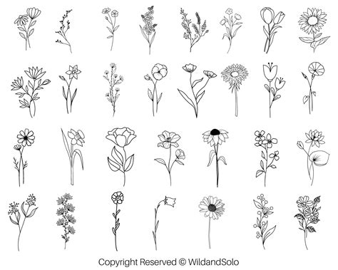 Black and white with line art on white backgrounds. . Dainty flower drawing